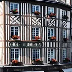 Le Dauphin فندق
