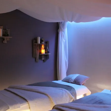 Le Dauphin Les Loges Hotel 3*